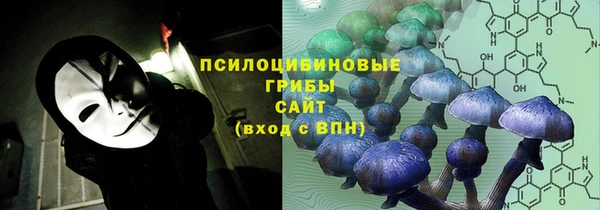 экстази Алексин