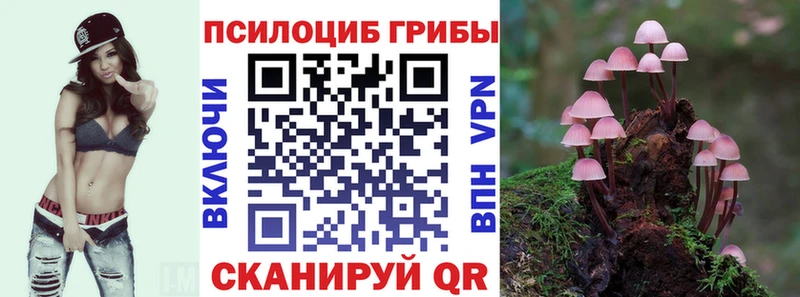 Галлюциногенные грибы MAGIC MUSHROOMS  даркнет сайт  Медынь 